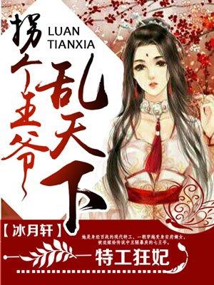 拐个王爷乱天下TXT 冰月轩