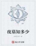 夜皇陵的盗墓贼