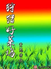 天降神秘老公!