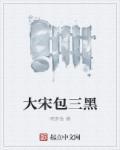 大宋包三黑电视剧