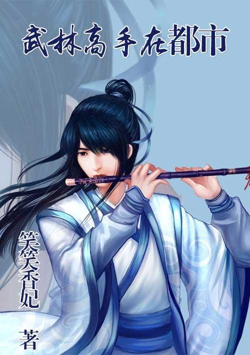 武林高手纵横都市