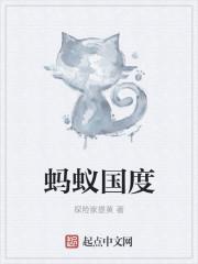 蚂蚁国度主板