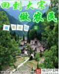 回到大宋的