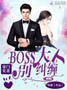 boss宠上天全文阅读