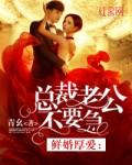 总裁老公别乱来全文免费阅读全文