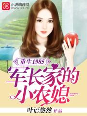重生1985农媳奋斗史 叶语悠然