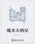 魔术大师的视频