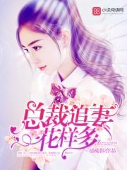 总裁追妻宠上天全文免费阅读